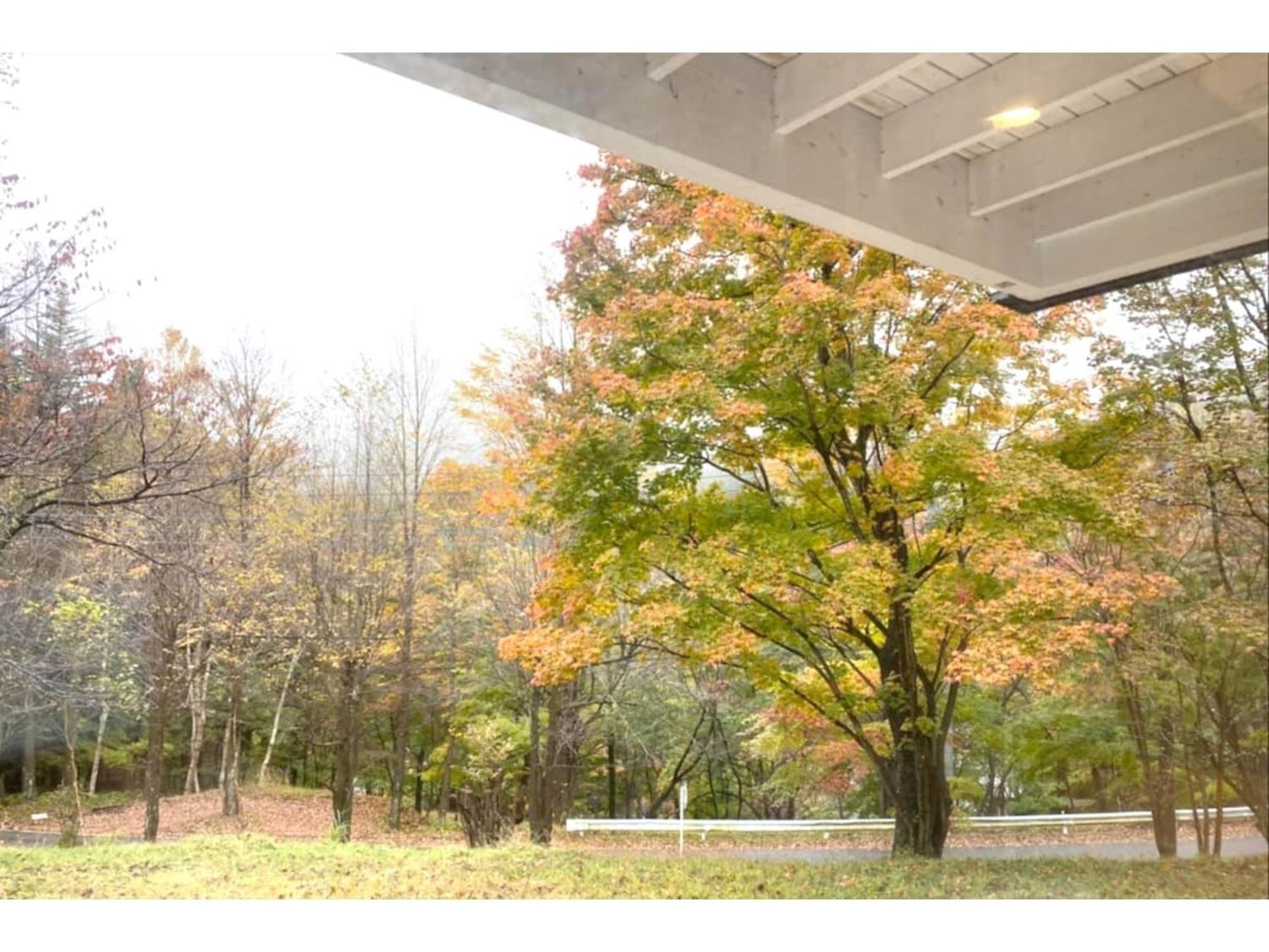 Polar Haus Minamikaruisawa1 - Vacation Stay 88000V Каруидзава Экстерьер фото